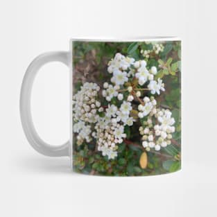 White flower Mug